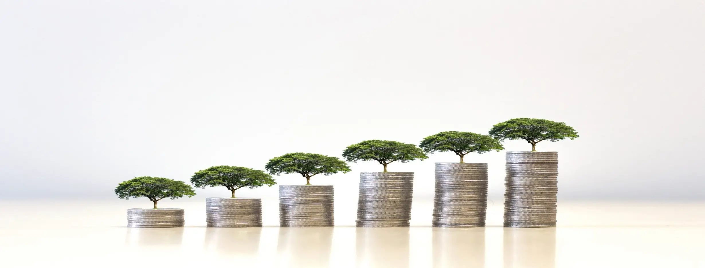 Image for Sustainable Growth